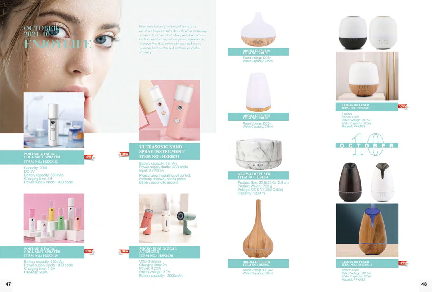 Portable Cold Mist Sprayer 2