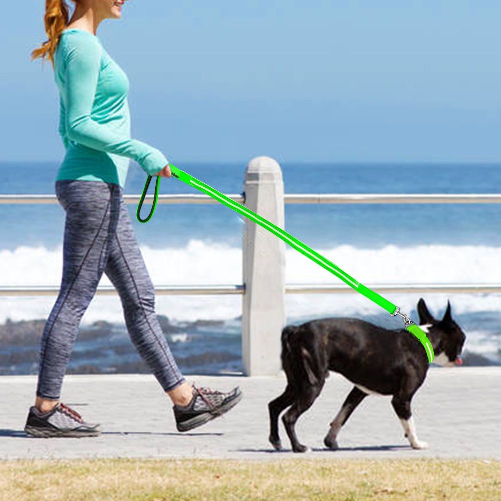 LED Pet Collar and Leash Set 2