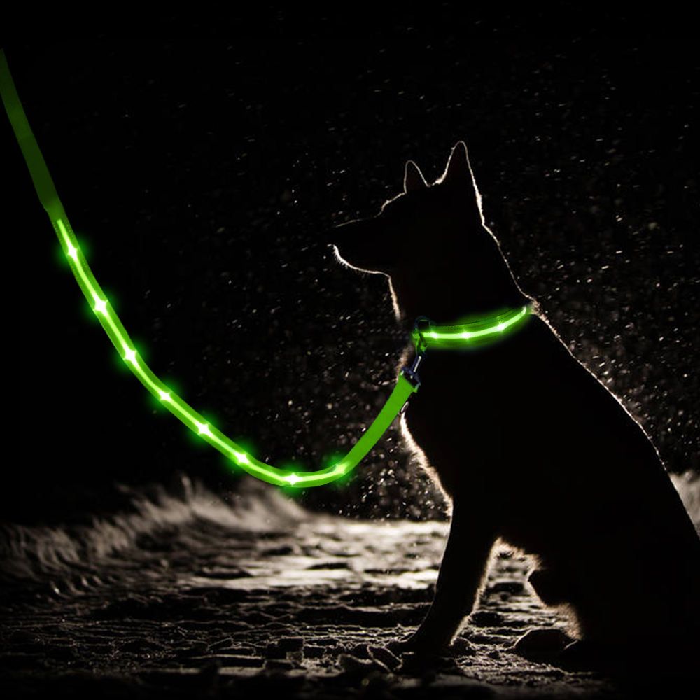 LED Pet Collar and Leash Set 5