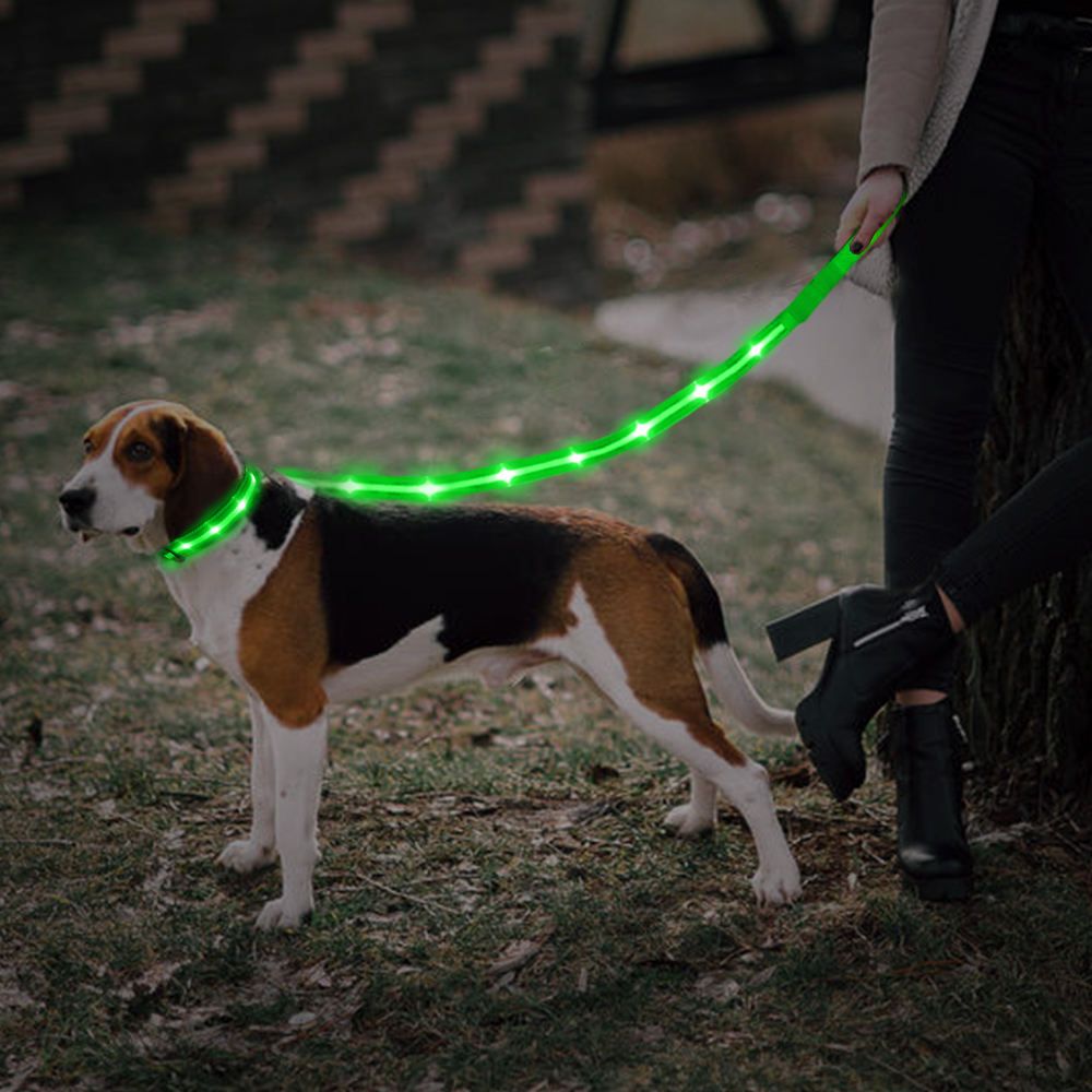 LED Pet Collar and Leash Set 6