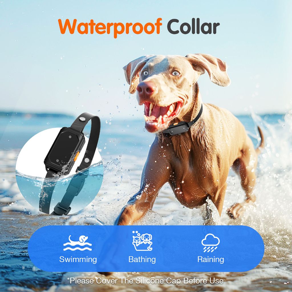 Electronic Pet Trainer 6