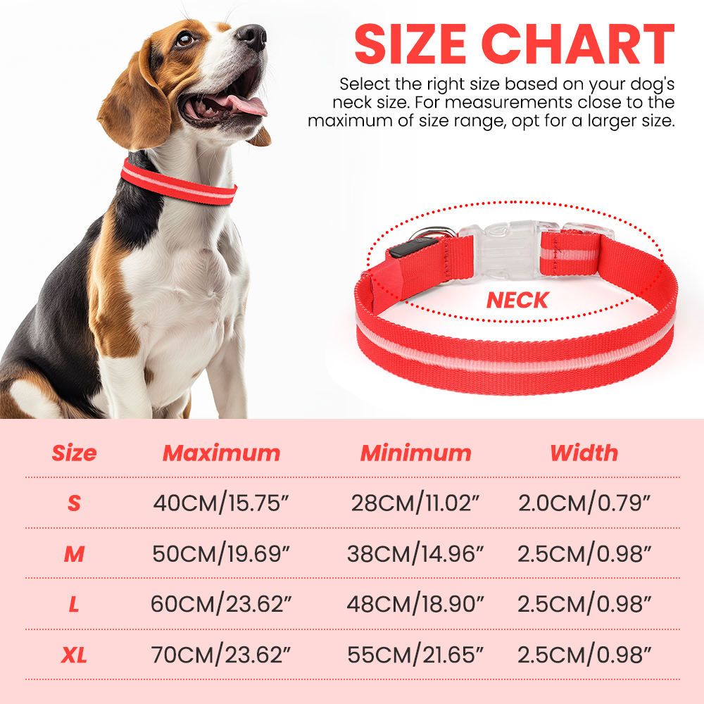 LED Pet Collar 3