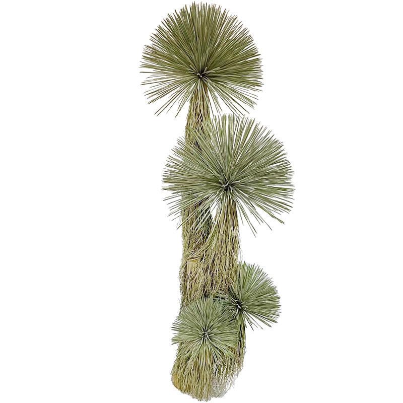 Artificial Desert Yucca Decorative Plant