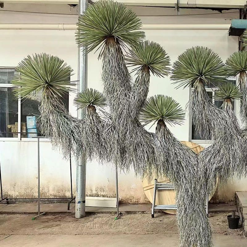 Artificial Desert Yucca Decorative Plant 2