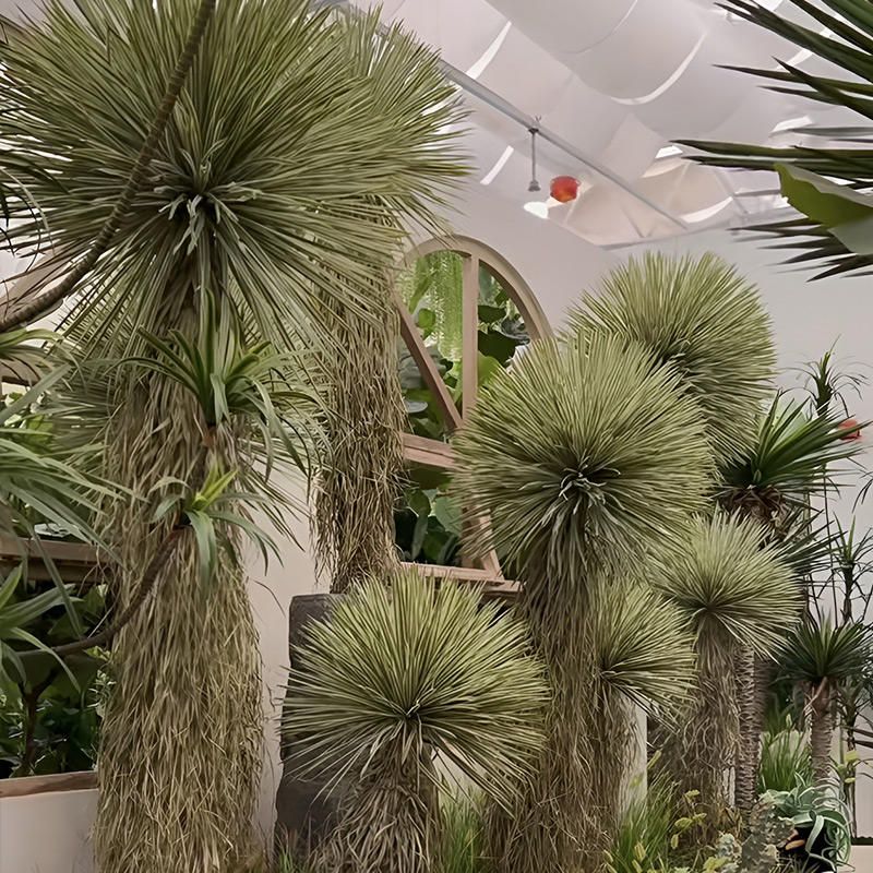 Artificial Desert Yucca Decorative Plant 4