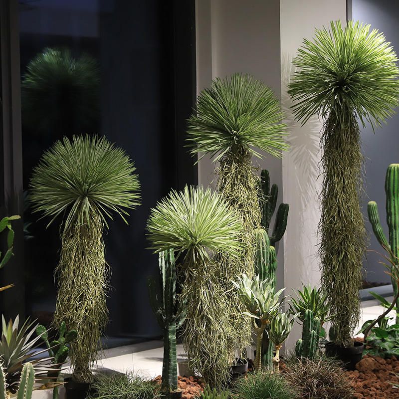 Artificial Desert Yucca Decorative Plant 5