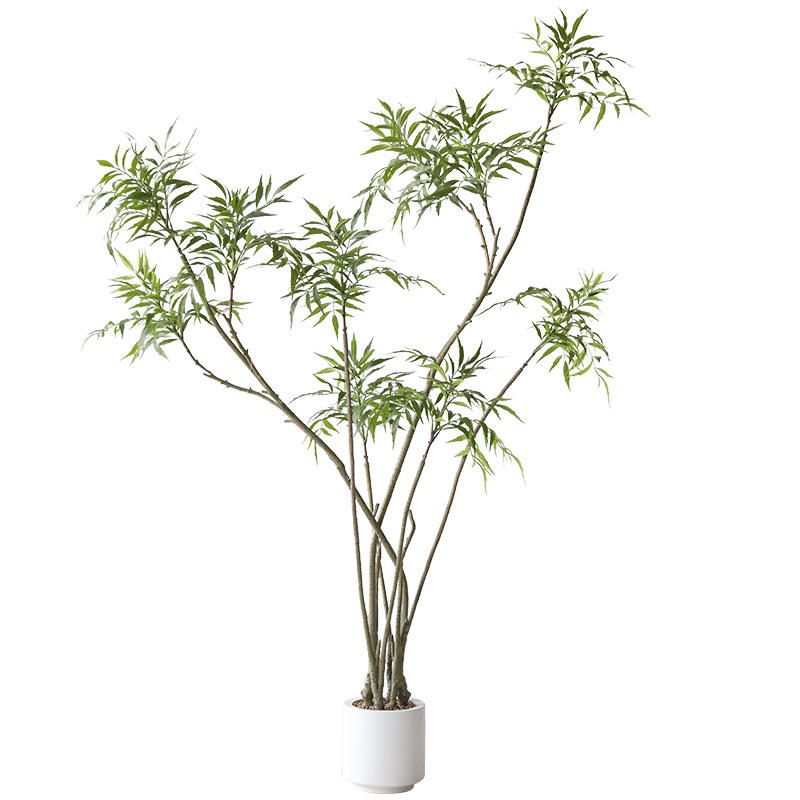 Minimalist Indoor Simulation Plant 6