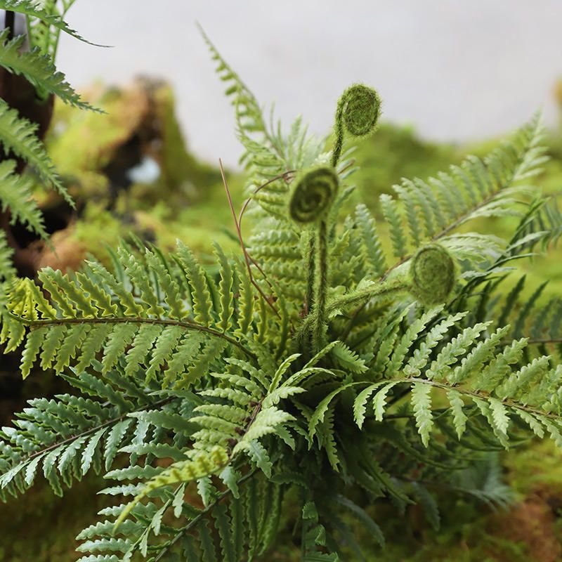 Modern Minimalist Indoor Simulation Plant Decoration Bonsai 4