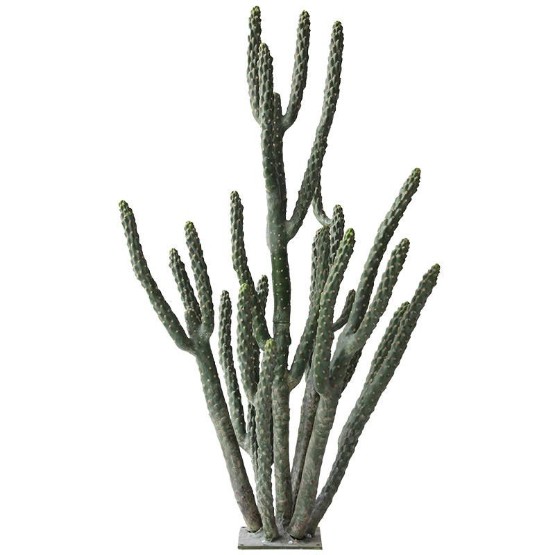 Columnar Cactus Potted Plant 6