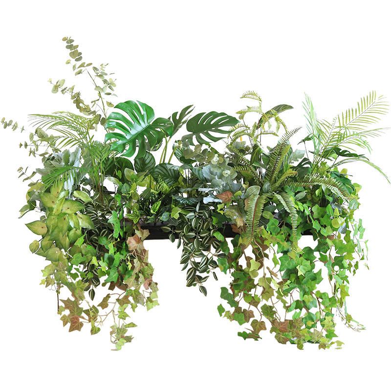 Modern Minimalist Black Rectangular Indoor Plant Pot 4