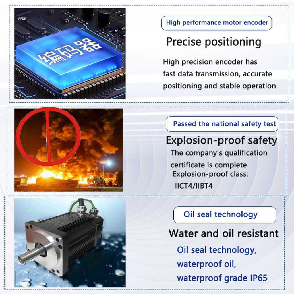 RuiPai Explosion-proof Servo Motor 5