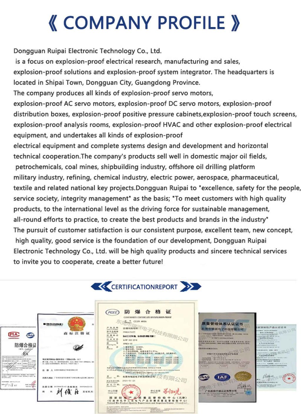 RuiPai Explosion-proof Servo Motor 11