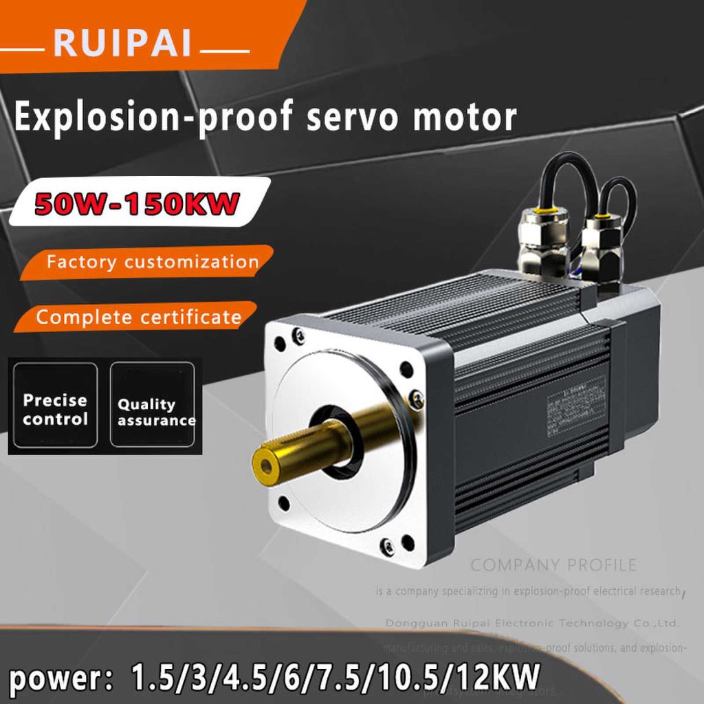 Ruipai Explosion-proof Servo Motor