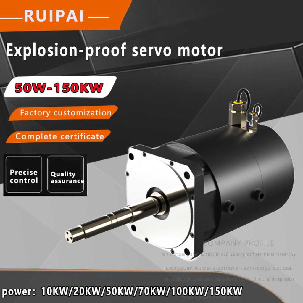 Ruipai Explosion-proof Servo Motor