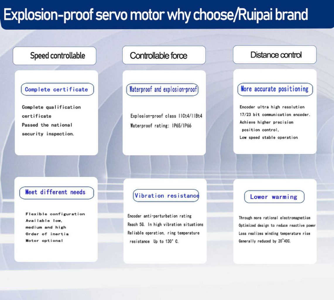Ruipai Explosion-proof Servo Motor 9