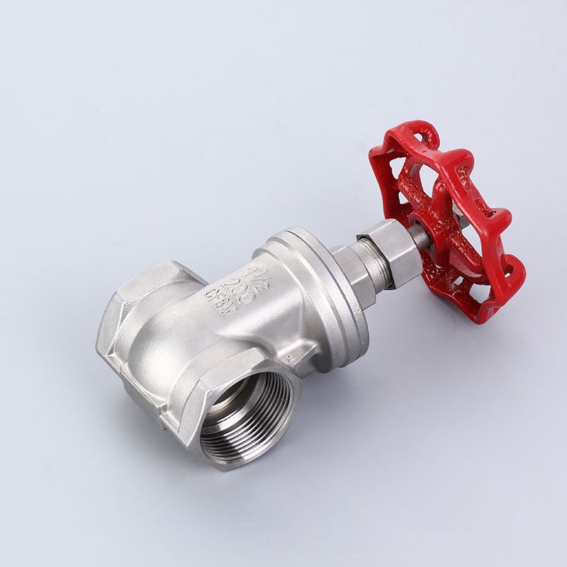 Stainless Steel Gate Valve 2