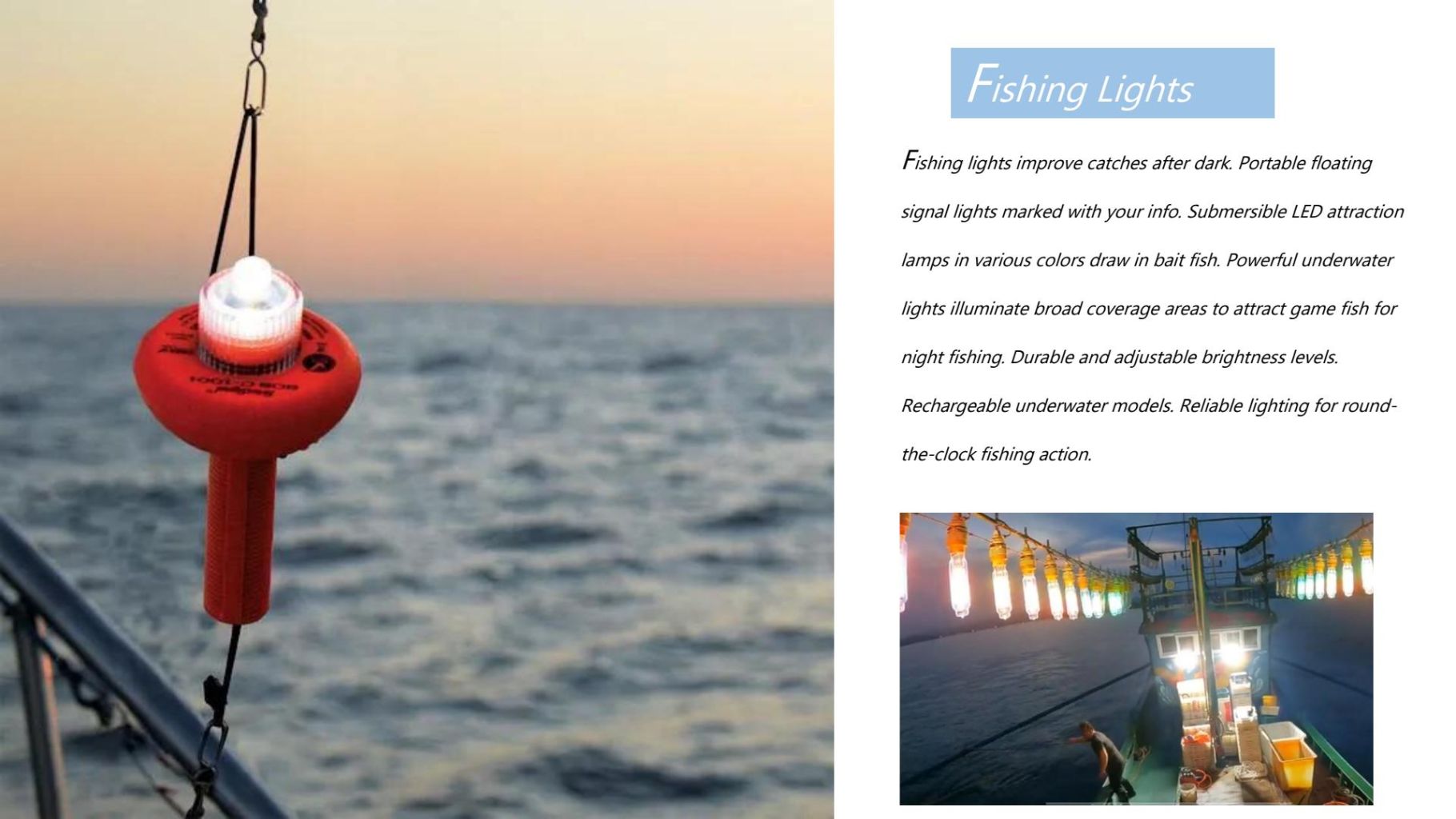 Portable Fishing Light