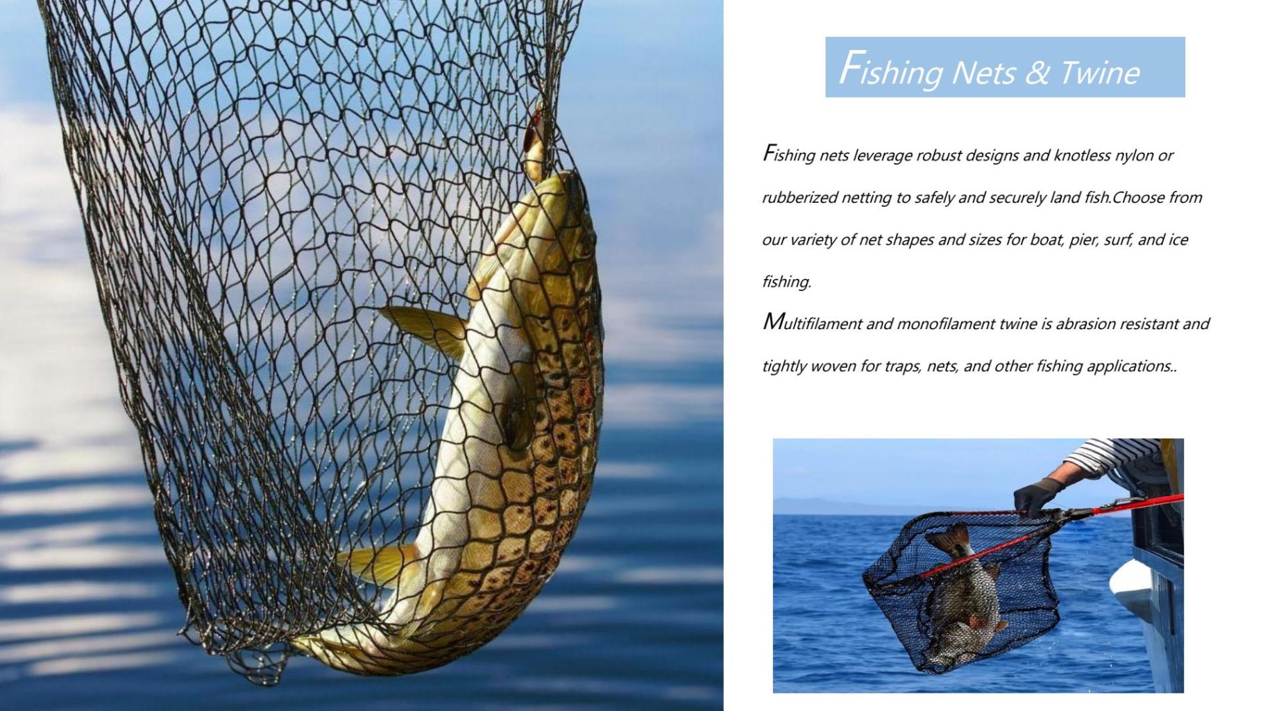 Fishing Net and Fishing Line