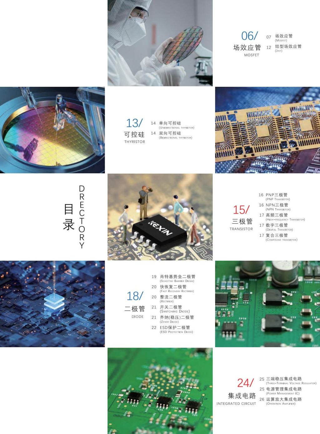 High-Performance Integrated Circuit Chips 2