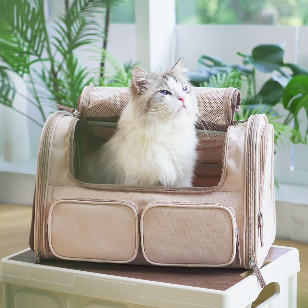 Breathable Pet Travel Bag 2