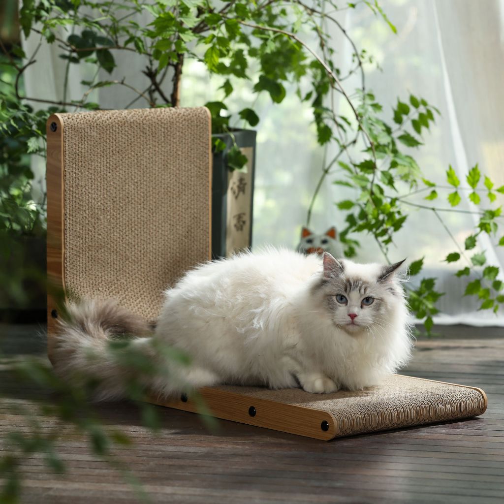 Premium Cat Scratching Board 3