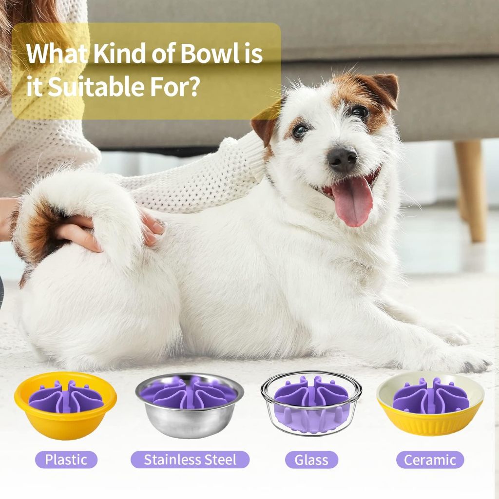 Slow Feed Dog Bowl Mat 4