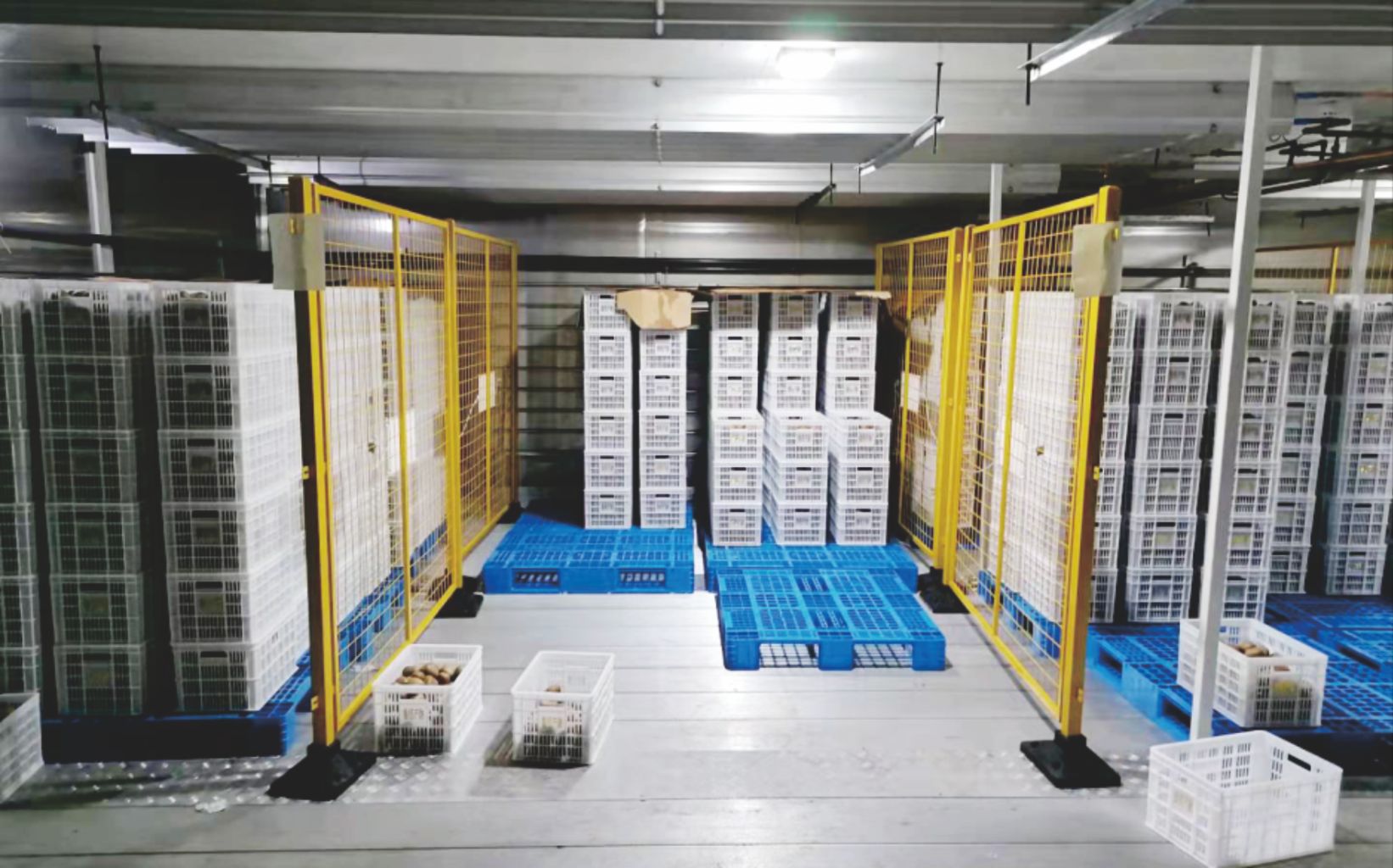 Cold Chain Transportation System 9