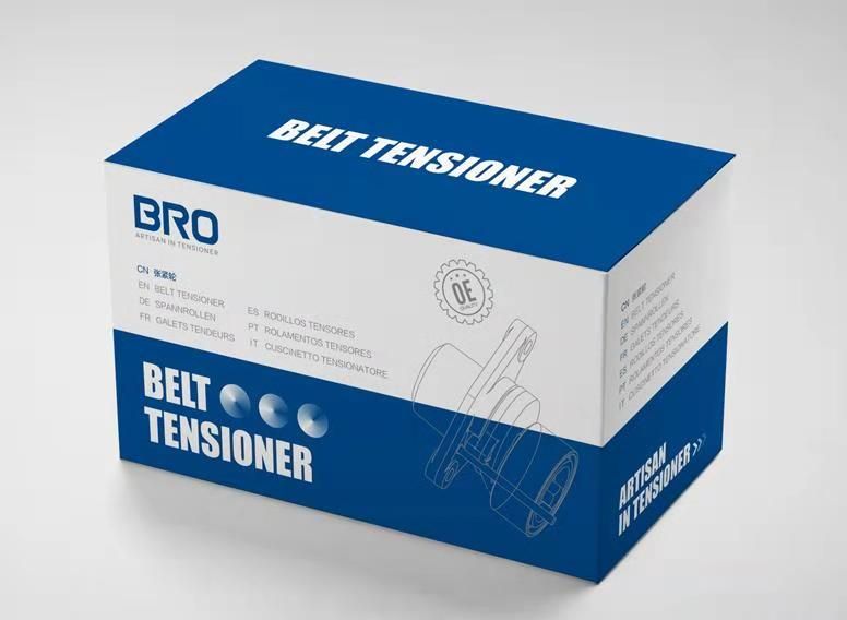 BMW Belt Tensioner 2