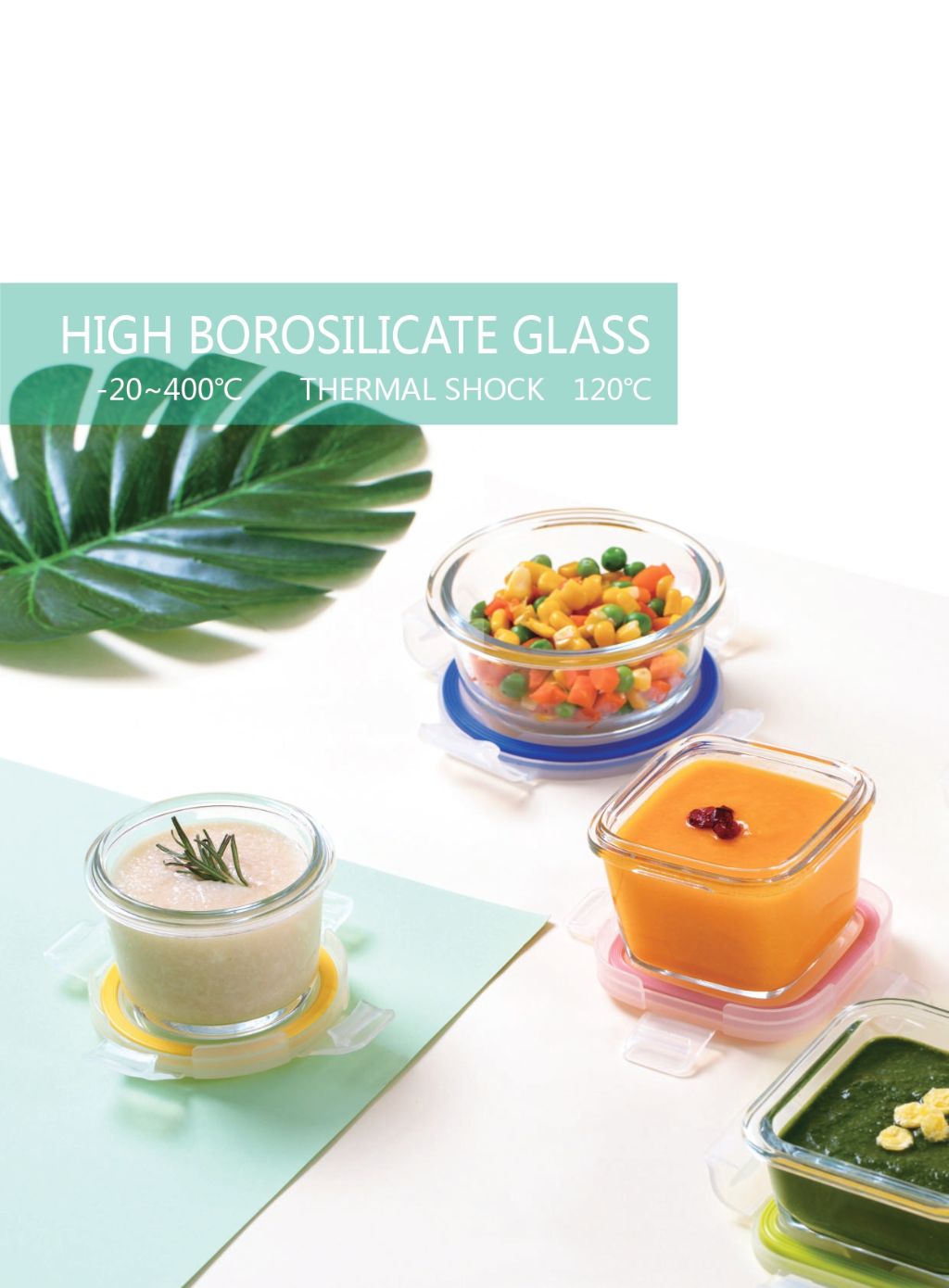 Borosilicate Glass Food Storage Container