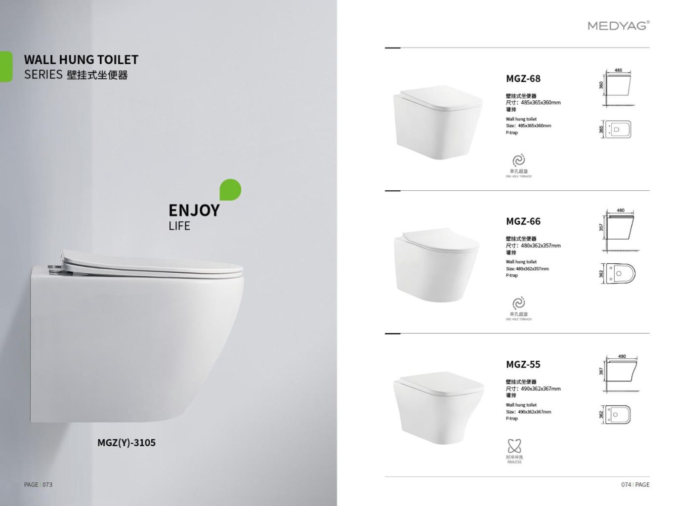 Wall-Mounted Toilet