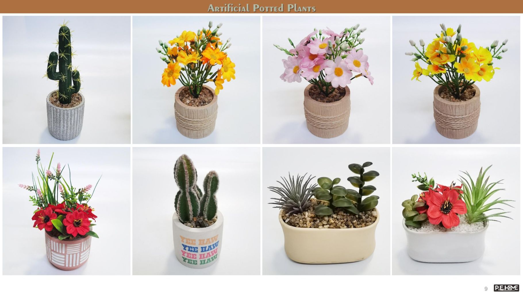 Diverse Simulation Potted Plants 2