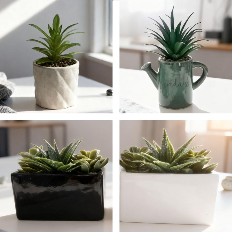 Succulent Plant Pot
