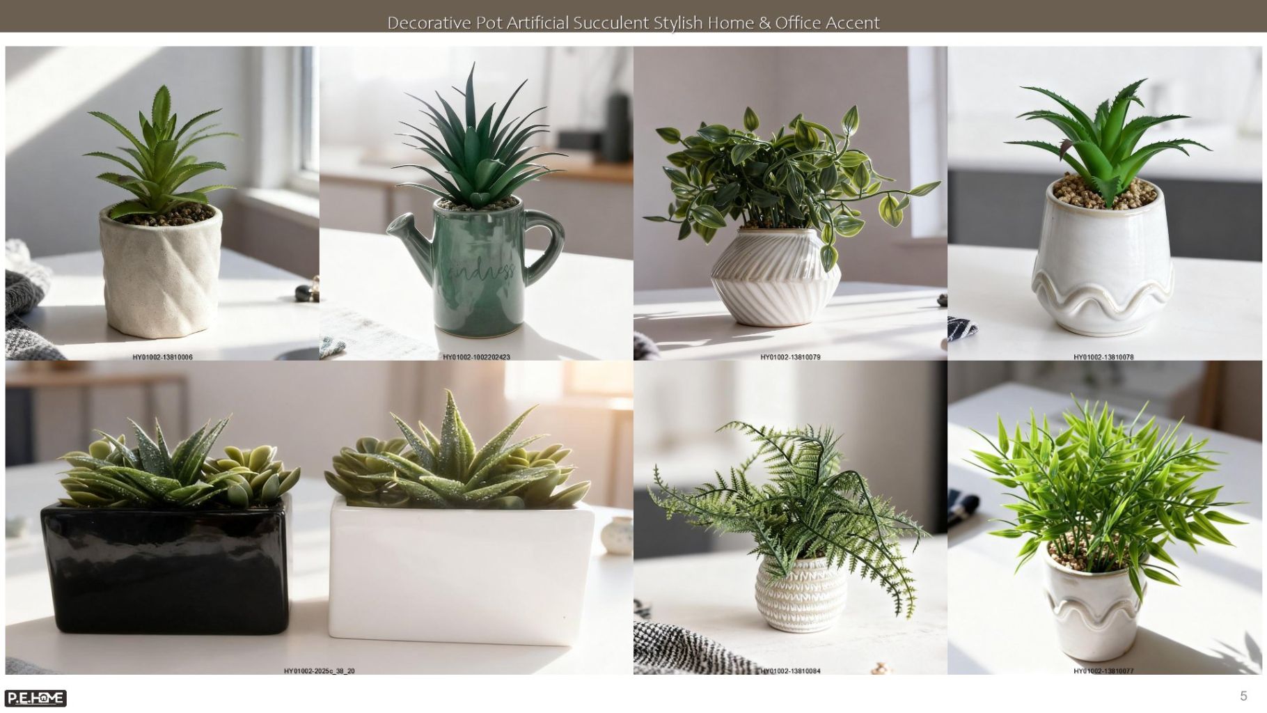 Succulent Plant Pot 2