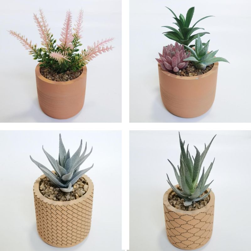 Succulent Plant Pot
