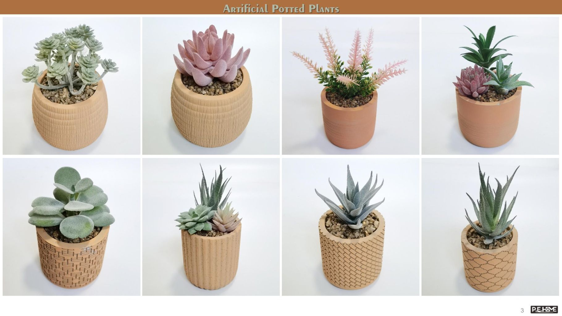 Succulent Plant Pot 2