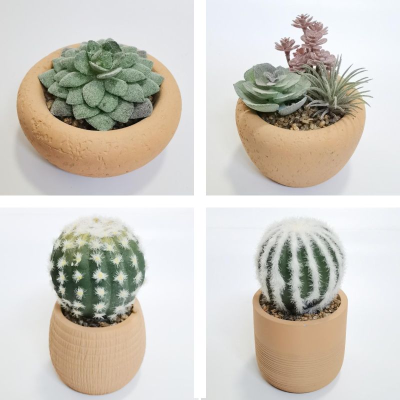Succulent Plant Pot