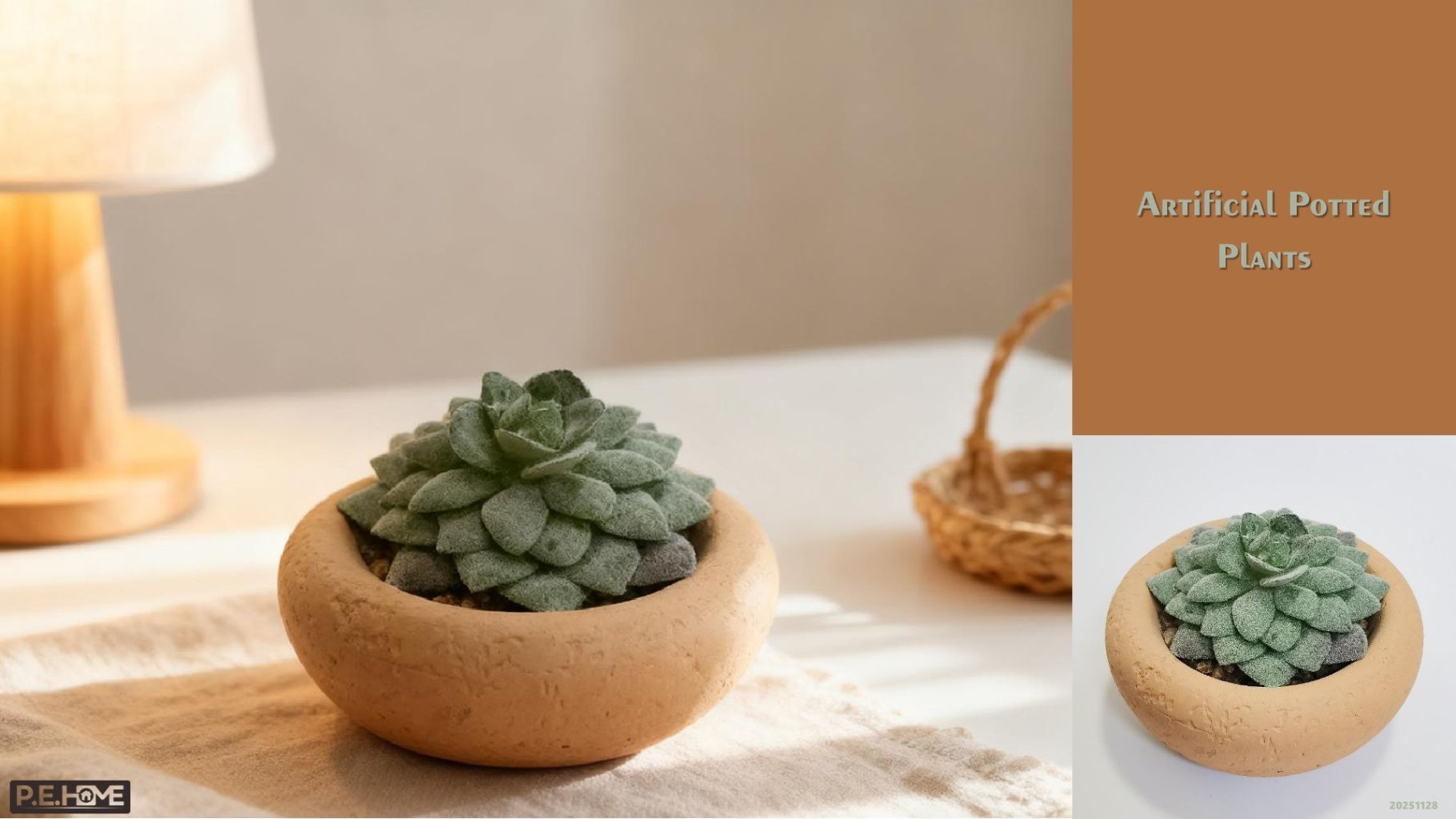 Succulent Plant Pot 2