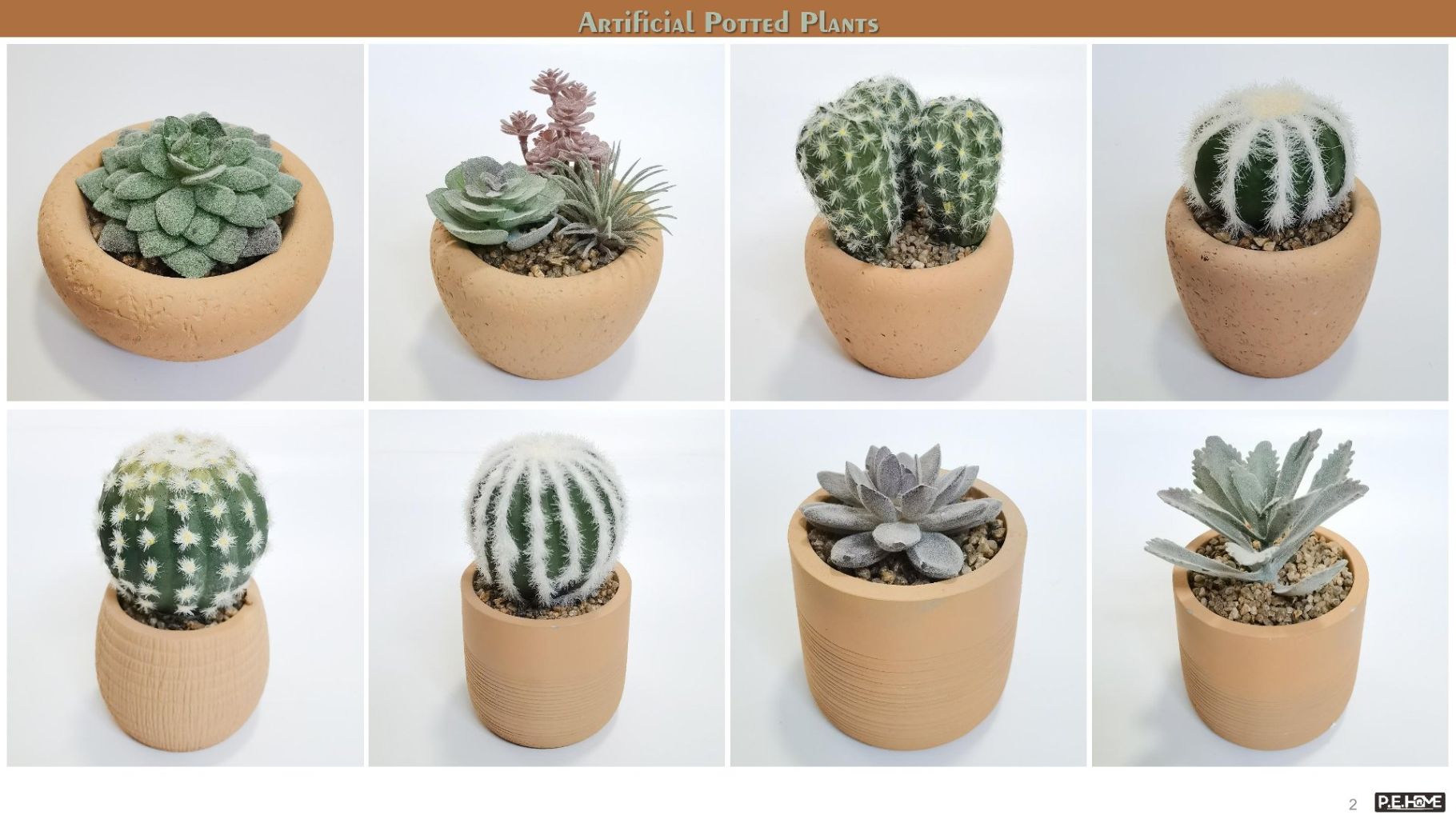 Succulent Plant Pot 3