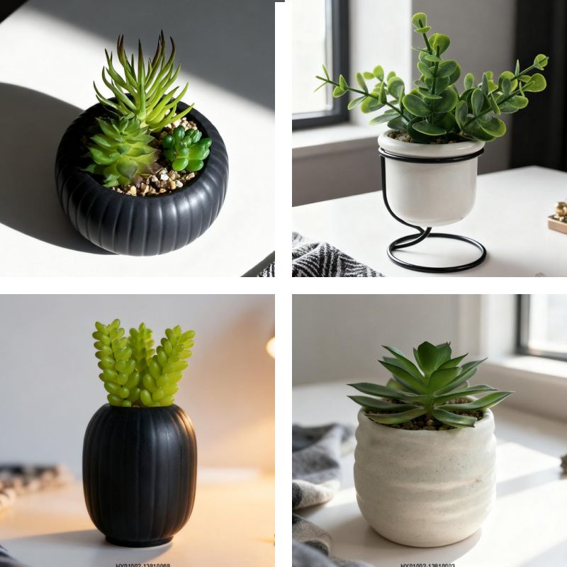 Succulent Plant Pot