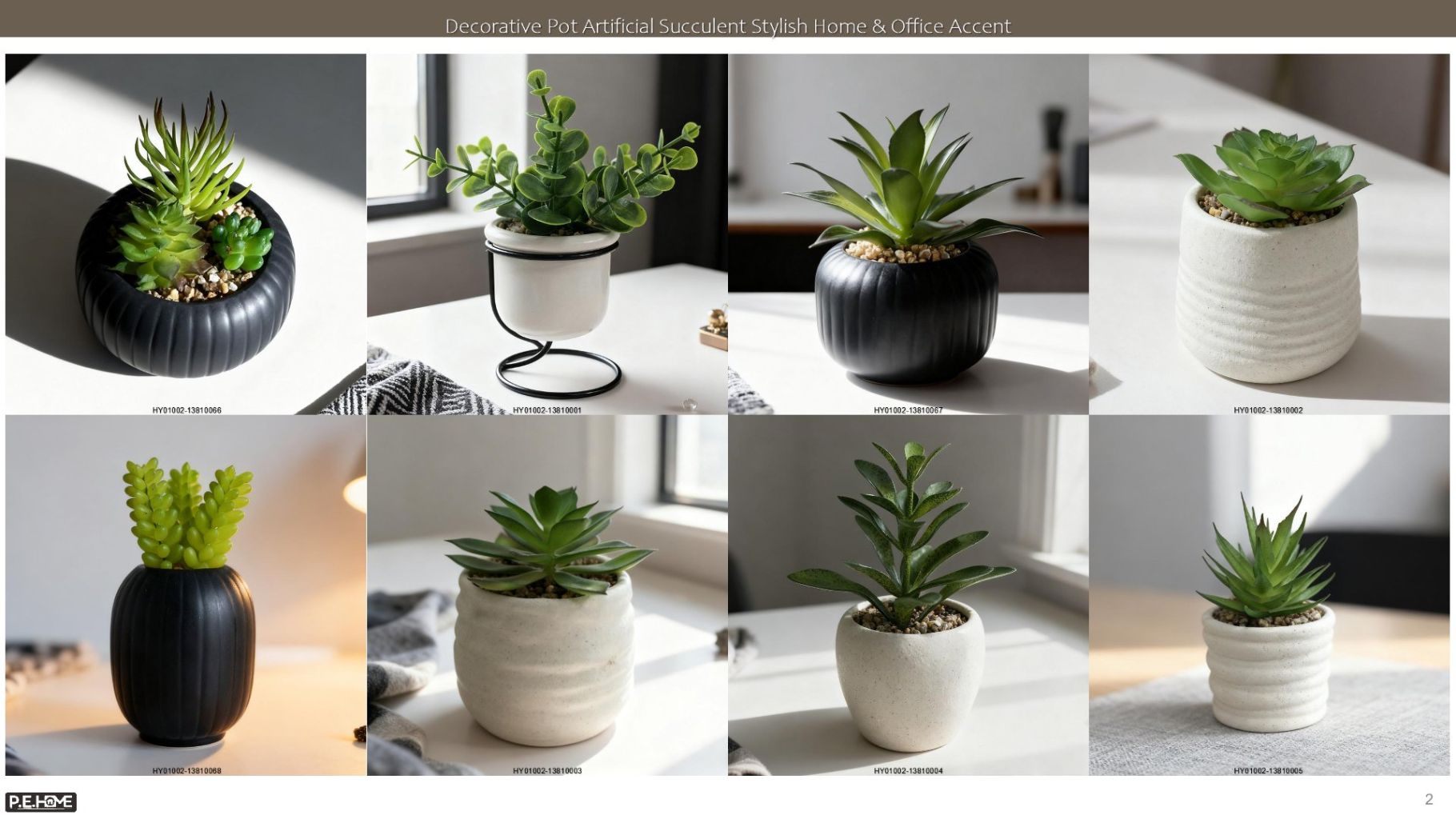 Succulent Plant Pot 2