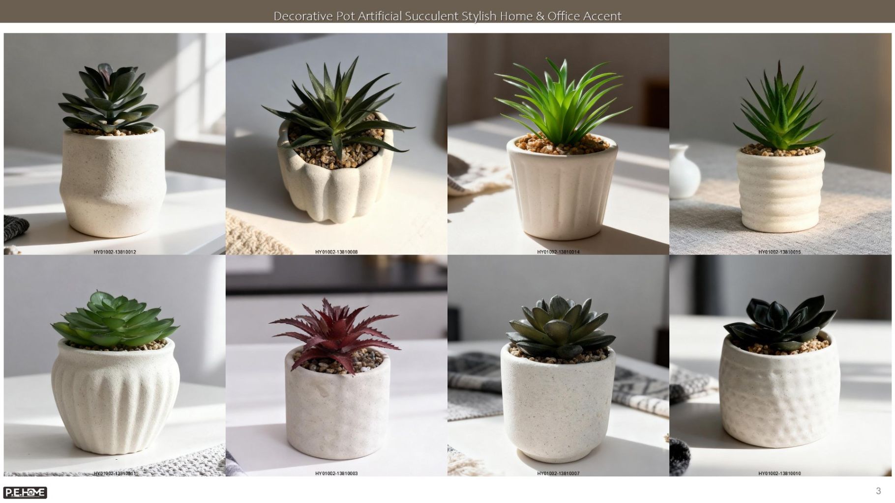 Succulent Plant Pot 3