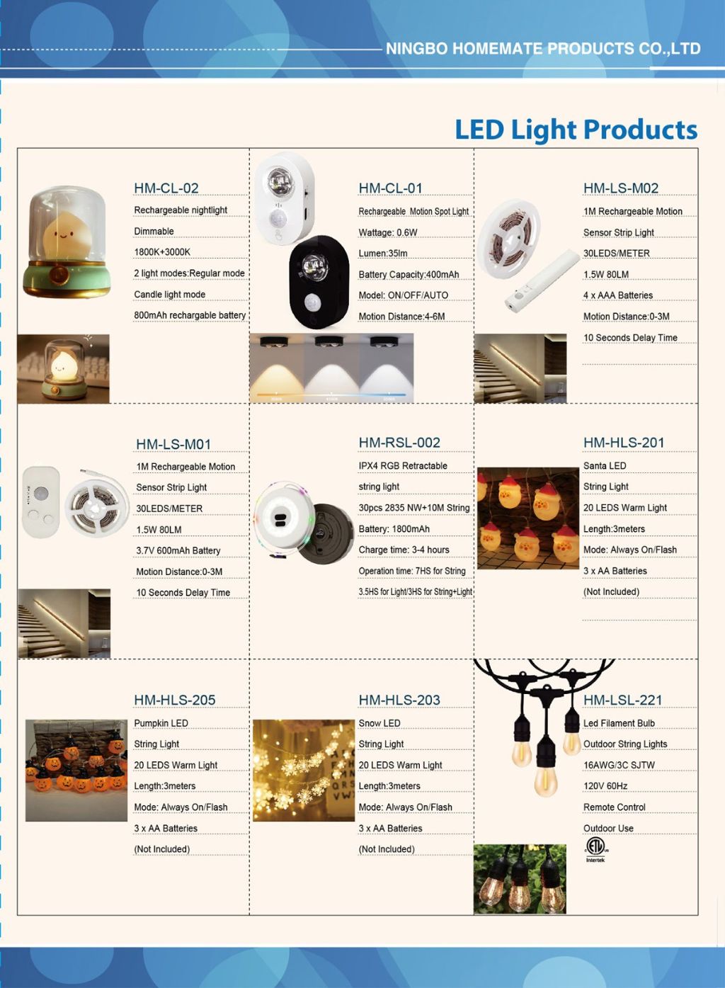 LED Induction Light