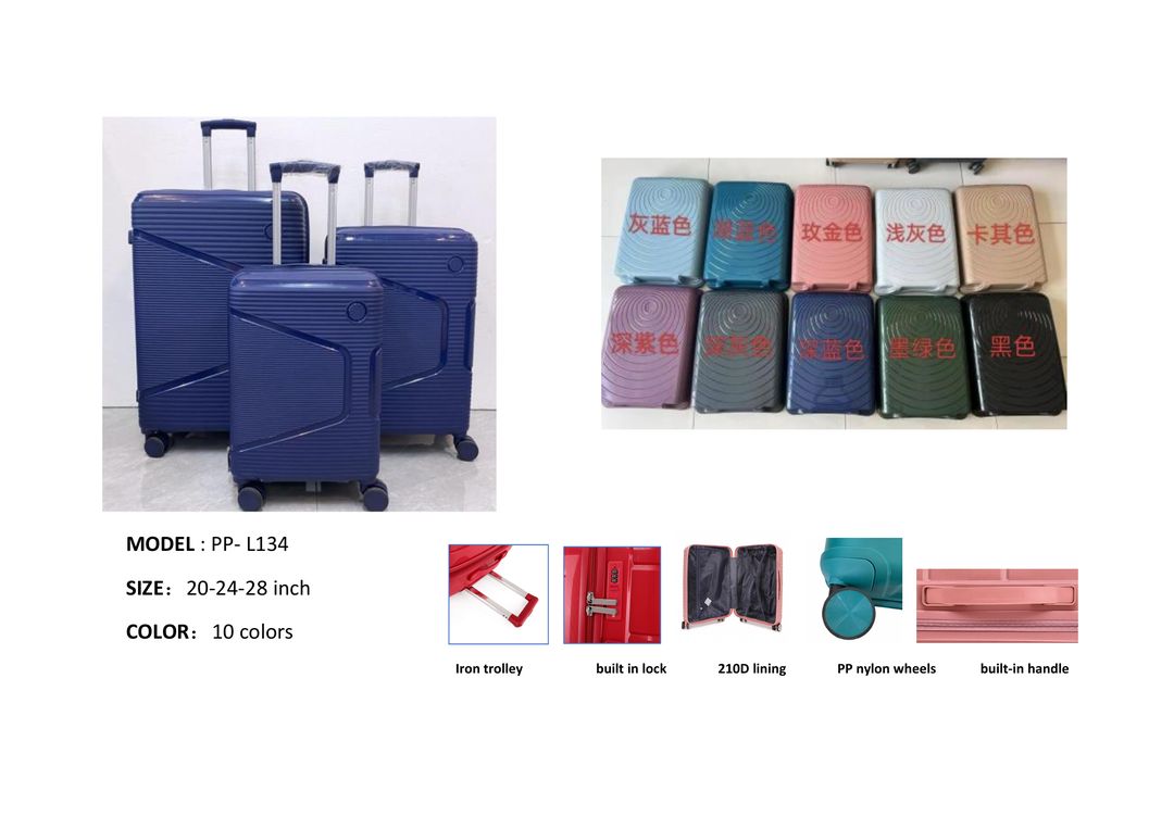 Multi-functional Trolley Case