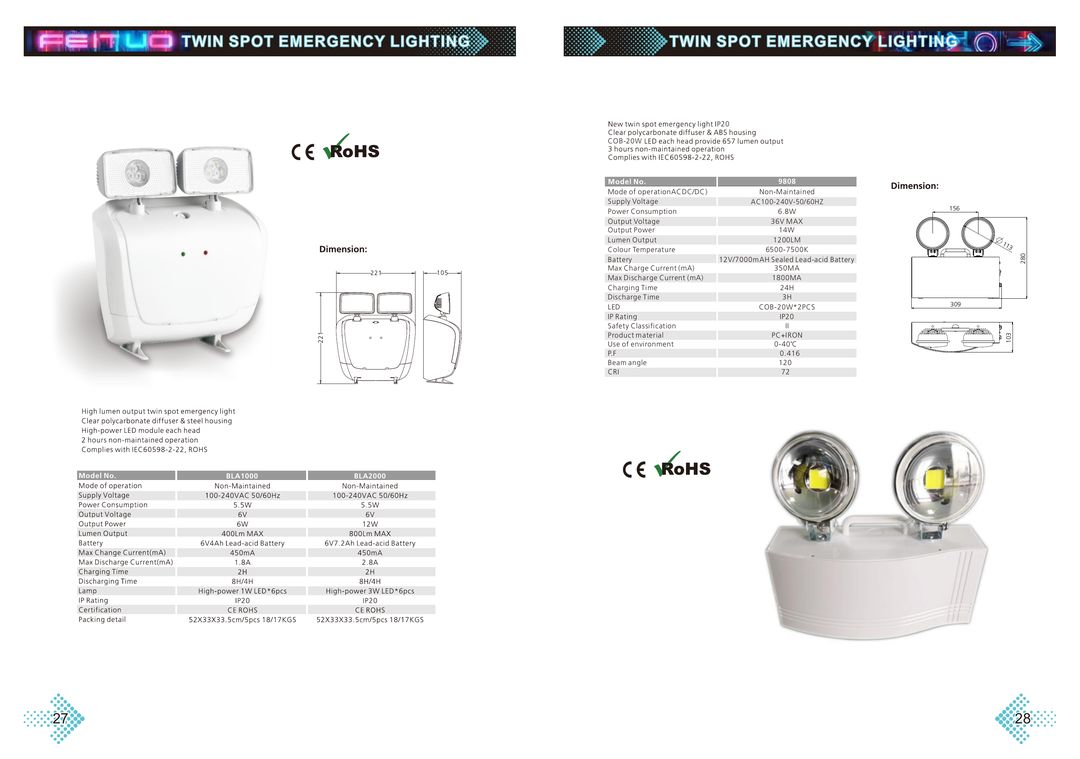 Dual-Head Emergency Light