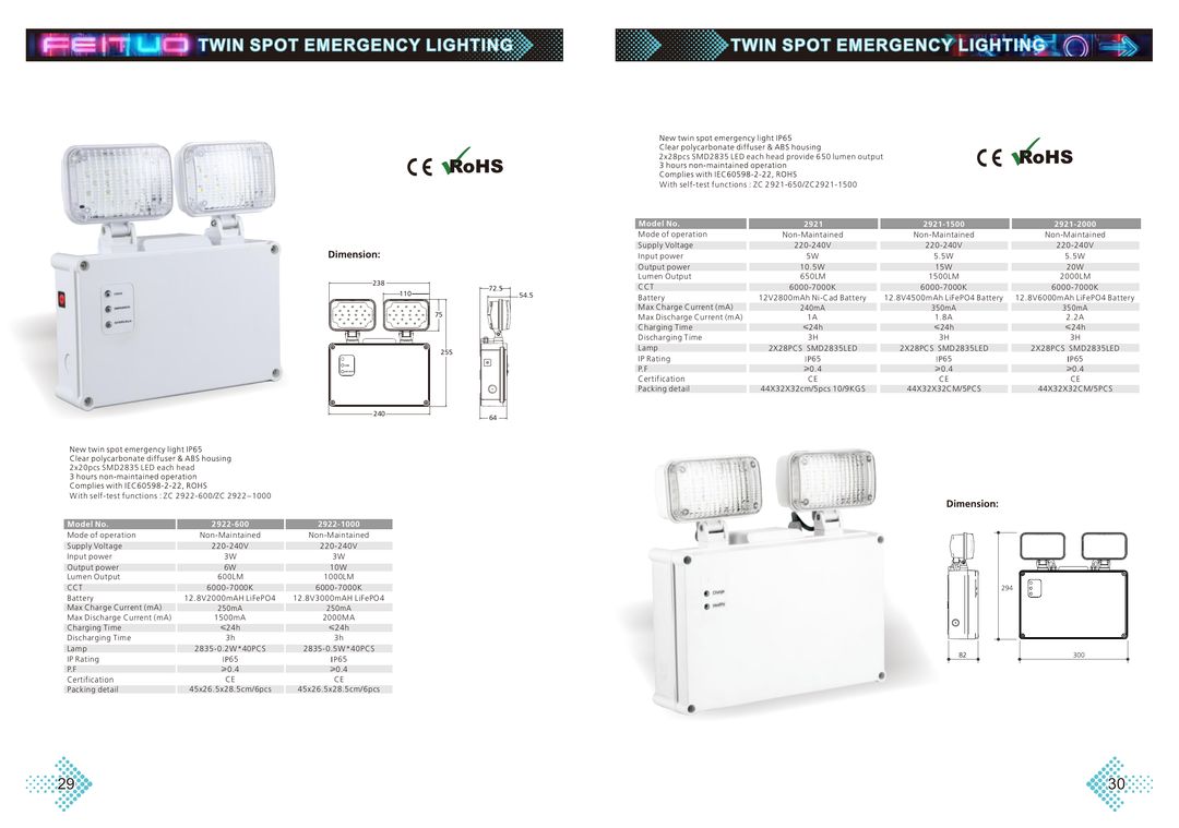 Dual-Head Emergency Light