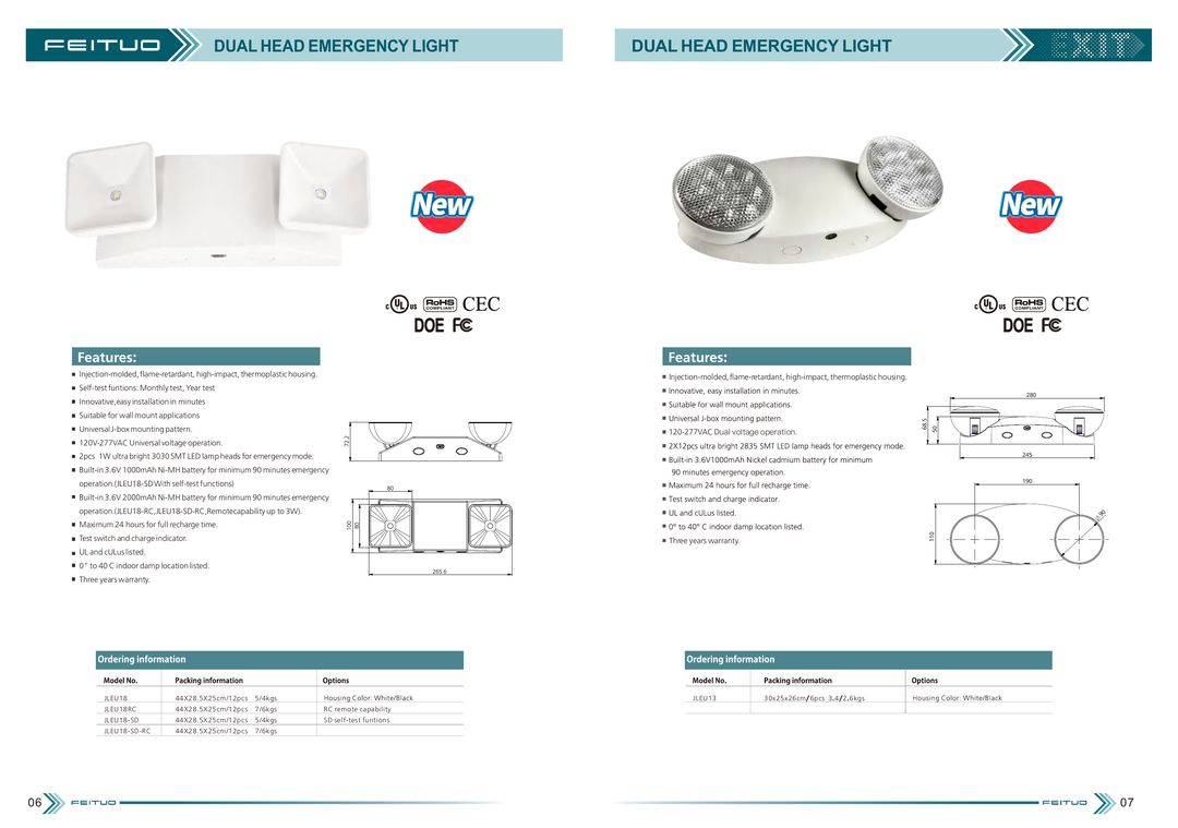 Dual-Head Emergency Light
