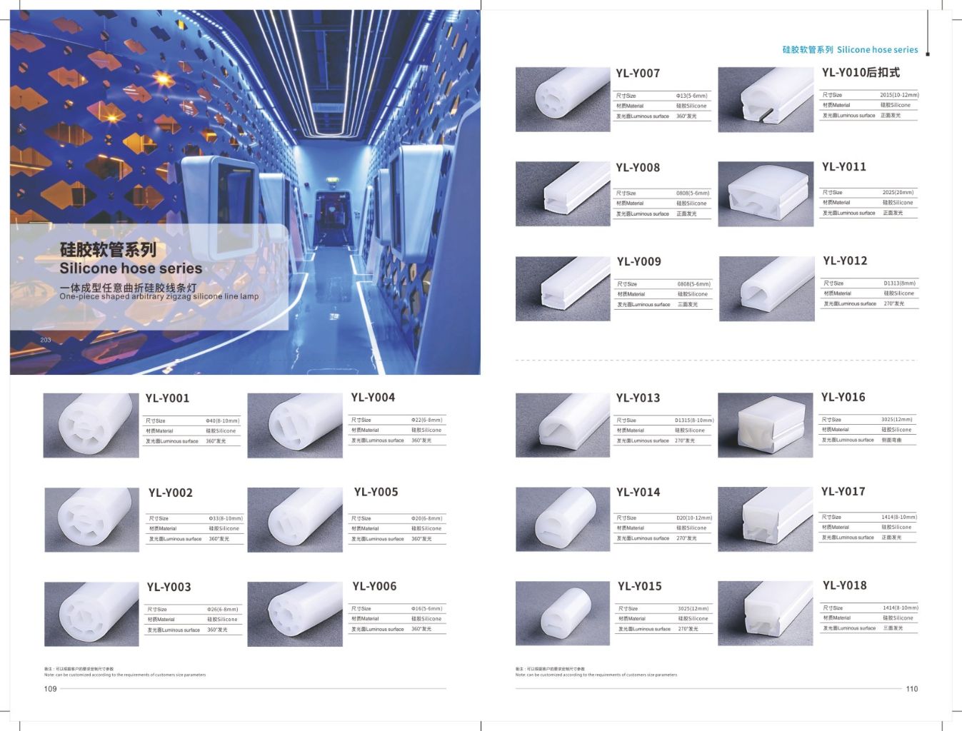 Silicone Hose Series 2
