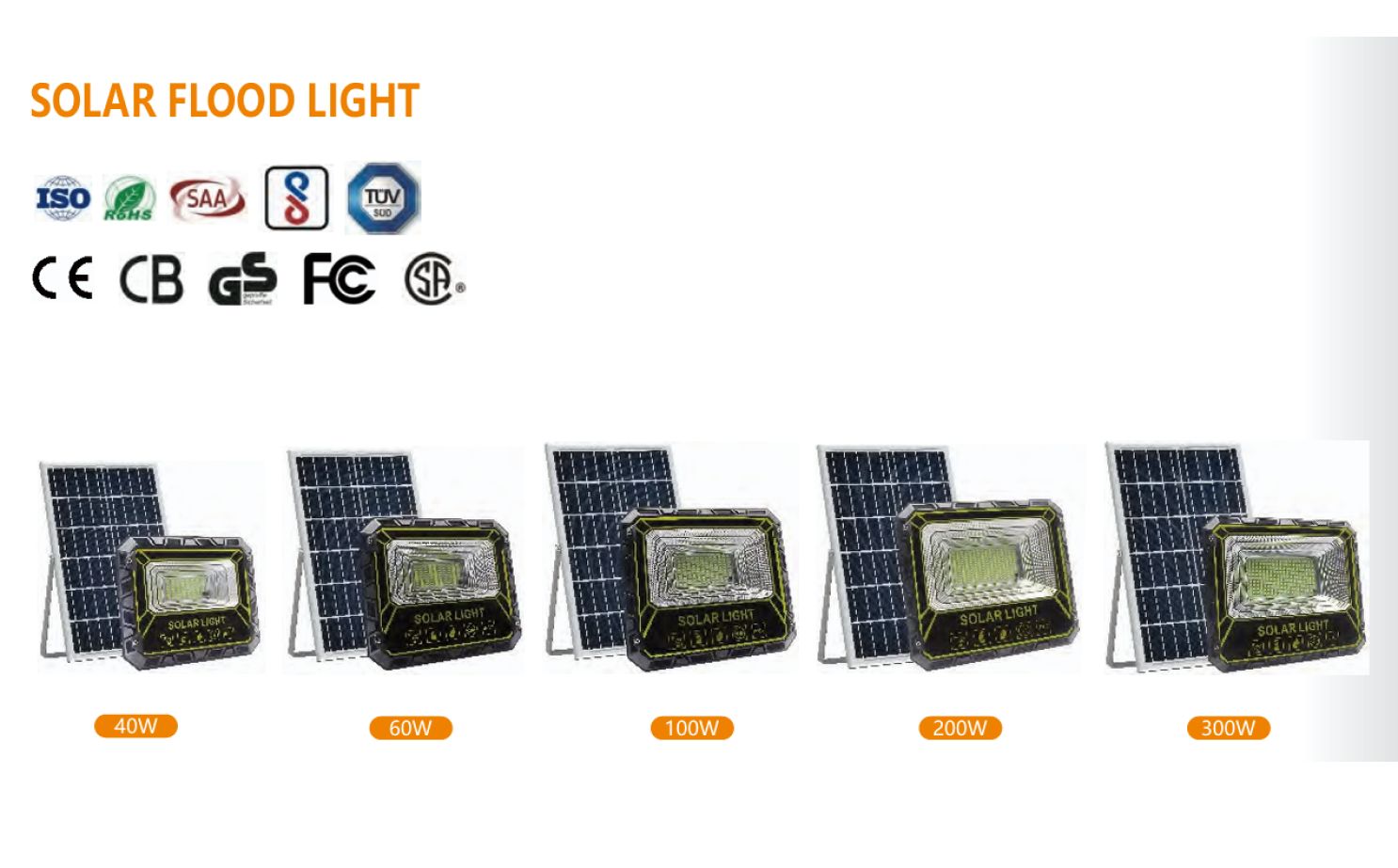 Solar Floodlight