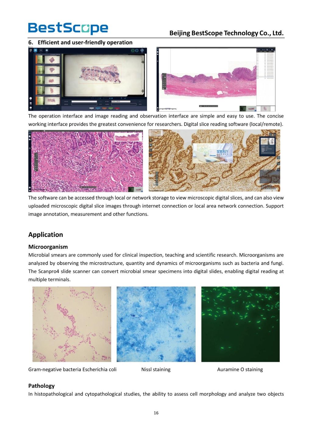 Scanpro3 Series Microscope Scanning System 7