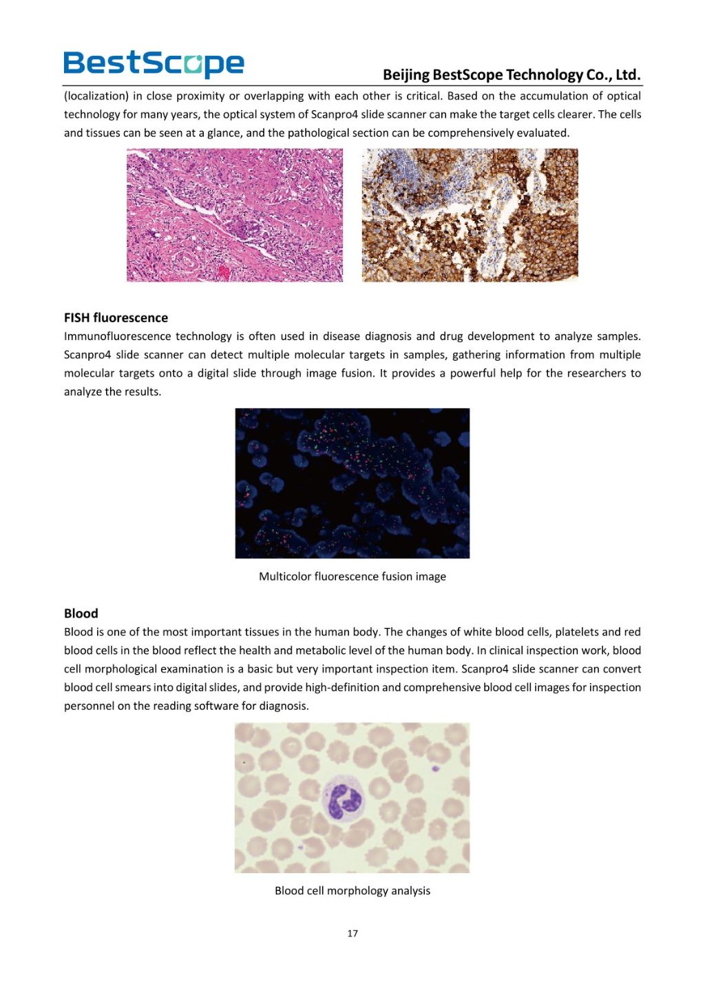 Scanpro3 Series Microscope Scanning System 8